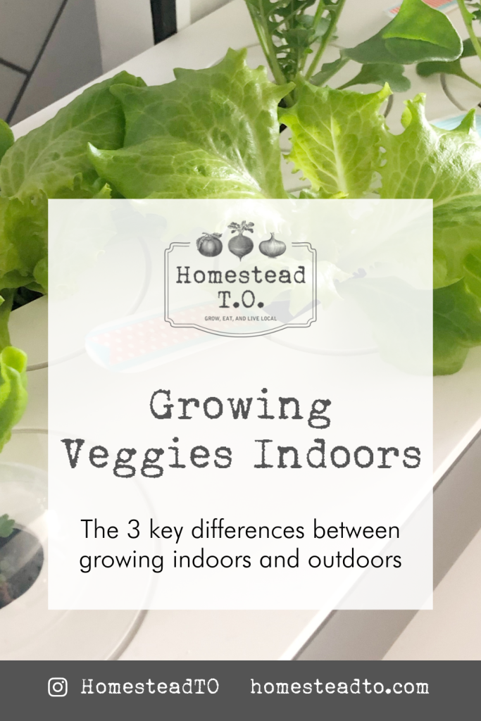 Image linked to our mini gardening guide, Growing Veggies Indoors: the three key differences between growing indoors and outdoors